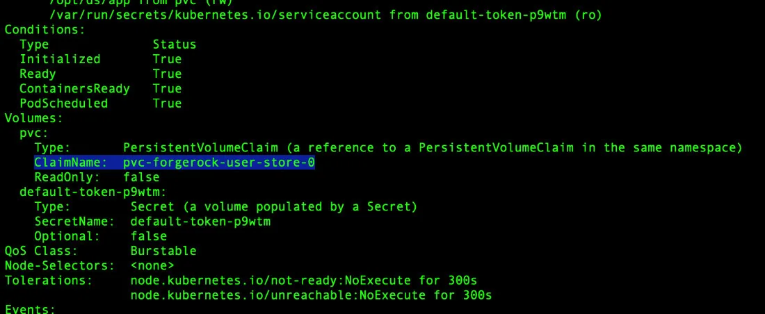 Kubernetes PersistentVolumeClaim details for forgerock-user-store