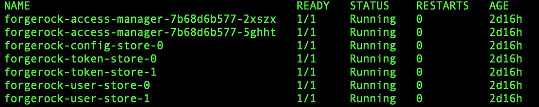 Forgerock services status: all running for 2d16h